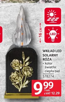 Wkład LED solarny Róża promocja w Selgros