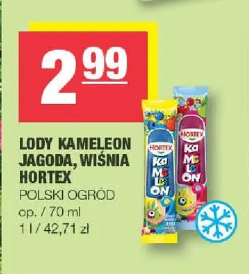 Lody Kameleon jagoda Hortex promocja w SPAR