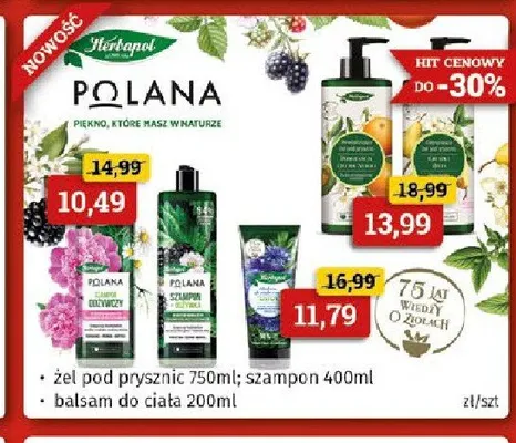 Szampon do włosów Herbapol Polana promocja w Drogeria Kosmyk