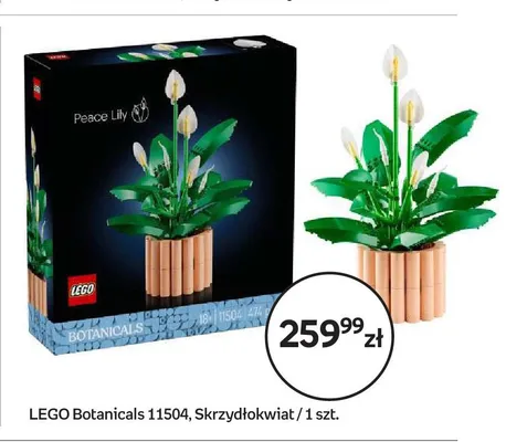 Klocki LEGO Botanicals 11504 Skrzydłokwiat promocja w Empik