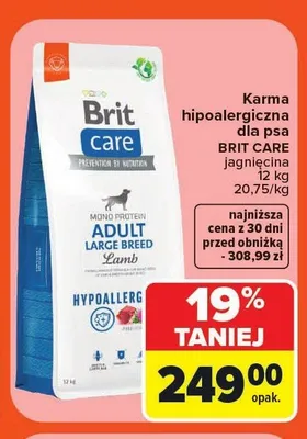 Karma dla psa Brit Care Adult Large Breed Lamb promocja w Carrefour Market