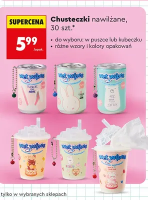 Chusteczki nawilżane w puszce Wet Wipes promocja w Biedronka