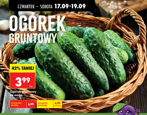Ogórki gruntowe promocja w Biedronka