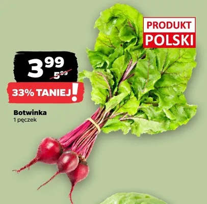 Botwinka promocja w Netto