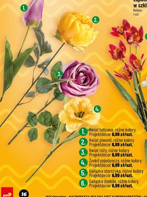 Kwiat piwonii różne kolory promocja w POLOmarket