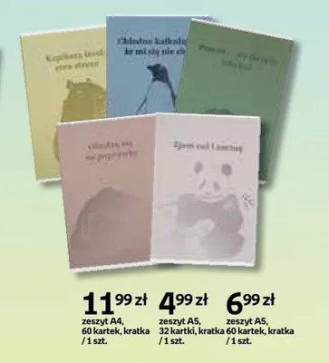 Zeszyt A5 32 kartki kratka promocja w Empik