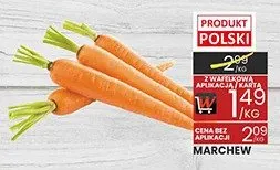 Marchew promocja w Wafelek