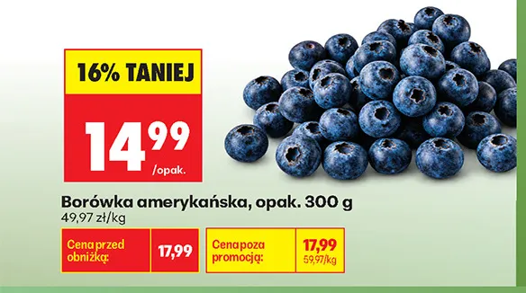Borówka amerykańska promocja w Biedronka