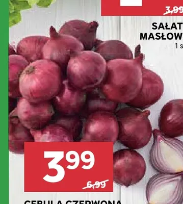 Cebula czerwona promocja w Stokrotka