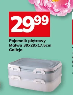 Pojemnik piętrowy Malwa promocja w Hitpol