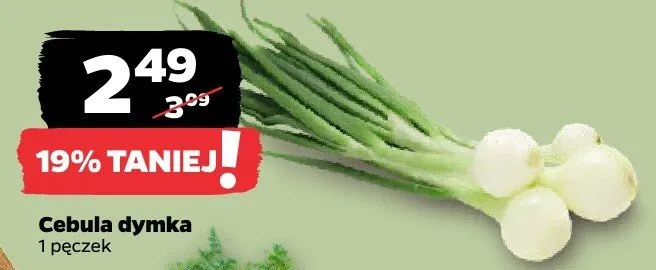 Cebula dymka promocja w Netto