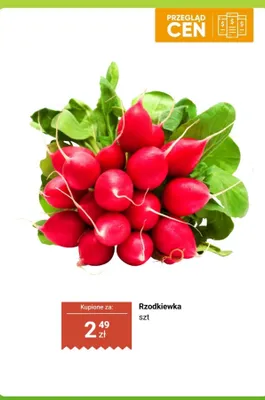 Rzodkiewka promocja w Dino