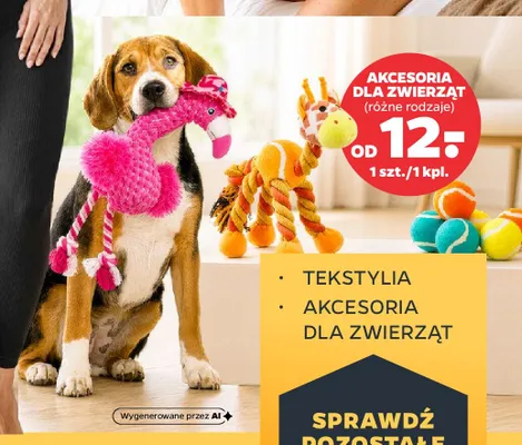 Akcesoria dla zwierząt promocja w Netto