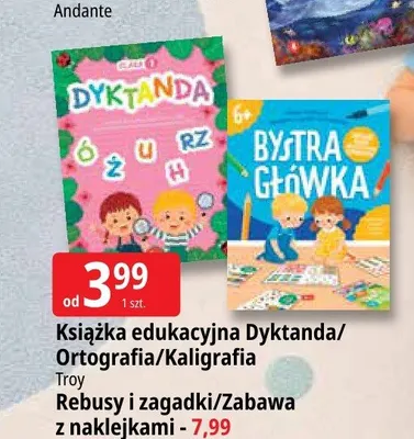 Książka Zabawa z naklejkami Troy promocja w Leclerc