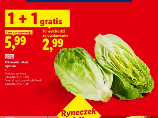 Minisałata rzymska Ryneczek Lidla 2-pak promocja w Lidl