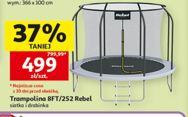 Trampolina 8FT/252 Rebel siatka i drabinka promocja w Auchan