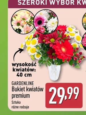 Bukiet kwiatów premium GARDENLINE 40cm promocja w Aldi
