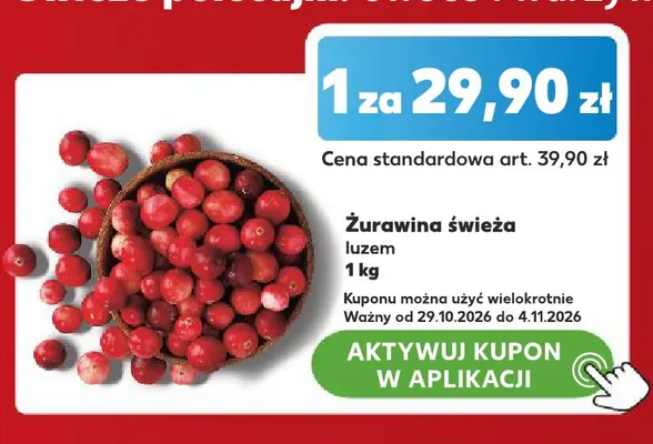 Żurawina świeża promocja w Kaufland