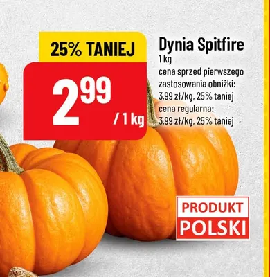 Dynia Spitfire promocja w POLOmarket