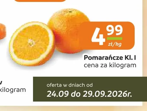 Pomarańcze duży kaliber promocja w Społem Częstochowa