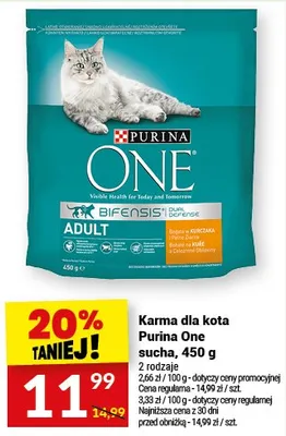 Karma dla kota sucha promocja w Twój Market