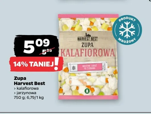 Zupa kalafiorowa Harvest Best promocja w Netto