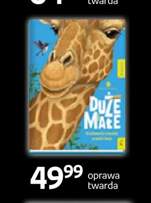 Książka Duże Małe oprawa twarda Wilga promocja w Empik