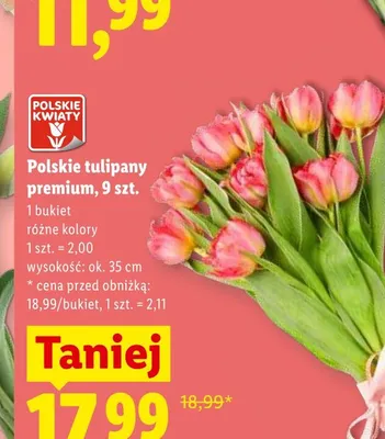Polskie tulipany premium wys. ok. 35cm promocja w Lidl