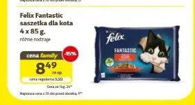 Karma dla kota Felix Fantastic promocja w Super Zoo