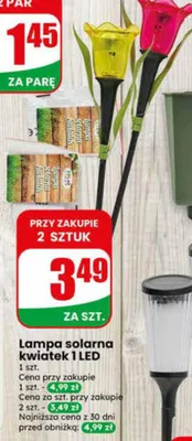 Lampa solarna kwiatek 1 LED 1szt. promocja w Dino
