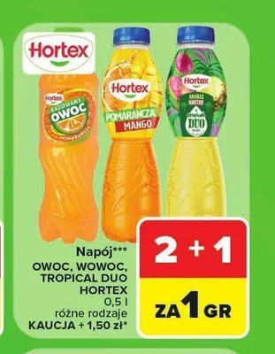 Napój Hortex Ananas Kaktus promocja w Carrefour