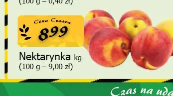 Nektarynka promocja w CEZAR Delikatesy