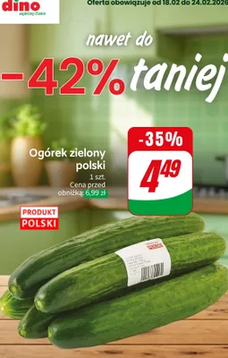 Ogórek zielony polski promocja w Dino