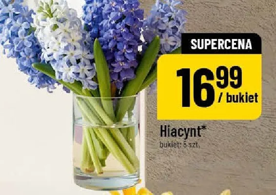 Hiacynt bukiet: 5 szt. promocja w POLOmarket