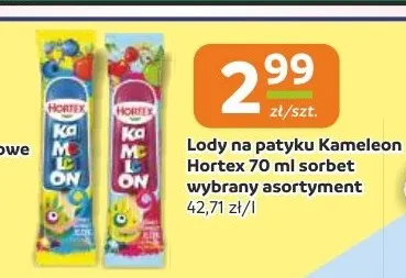 Lody na patyku Kameleon Hortex sorbet promocja w Gama