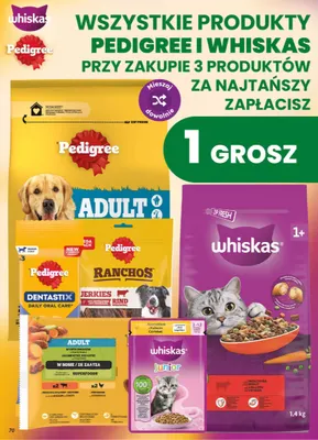 Przysmak dla psów Ranchos Jerkies z wołowiną Pedigree promocja w Dino