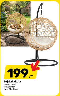 Bujak dla kota  promocja w Bricomarche