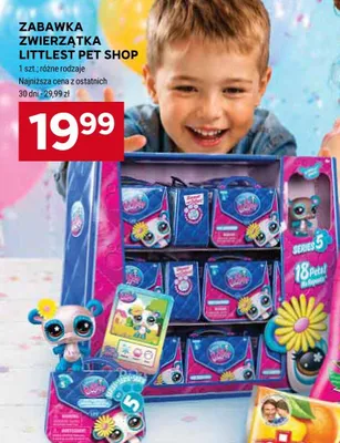 Zabawka zwierzątka Littlest Pet Shop promocja w Stokrotka