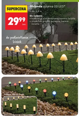 Girlanda solarna 20 LED grzybki o ciepłej barwie światła dł. 5,8m promocja w Biedronka