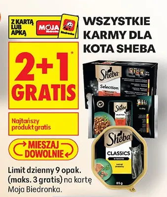 Karma dla kotów różne rodzaje promocja w Biedronka