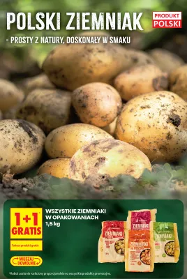 Ziemniaki polskie Biedronka promocja w Biedronka