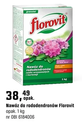 Nawóz do rododendronów promocja w OBI