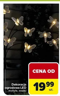 Dekoracja ogrodowa LED motyle, ważki promocja w Carrefour