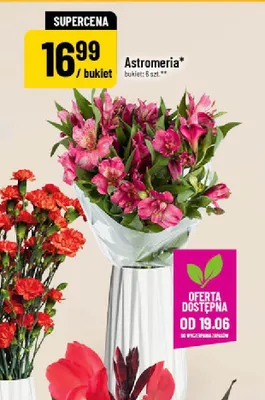 Astromeria promocja w POLOmarket