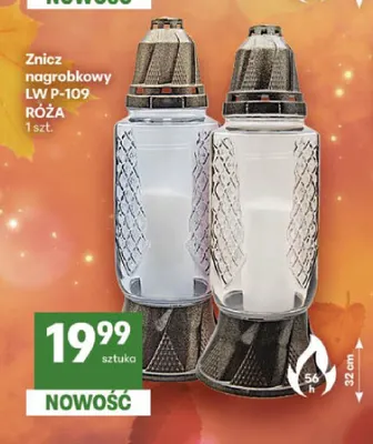 Znicz nagrobkowy Lw P-109 Róża promocja w Delikatesy Centrum