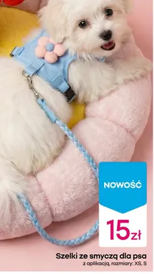 Szelki ze smyczą dla psa z aplikacją, rozmiary: XS, S promocja w Pepco