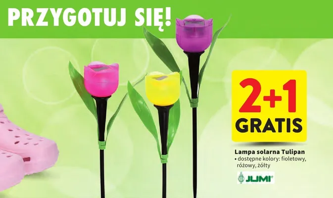 Lampa solarna Tulipan promocja w Intermarche