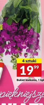 Bukiet lewkonia 4-pak promocja w Twój Market