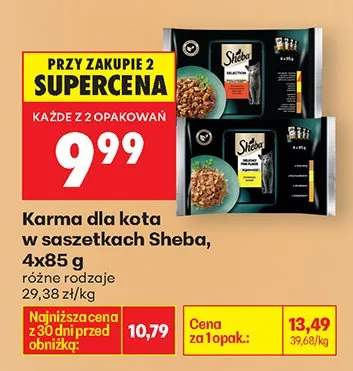 Karma dla kota w saszetkach różne rodzaje promocja w Biedronka