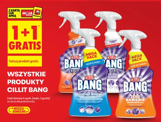 Środek do czyszczenia łazienki Power Cleaner promocja w Biedronka